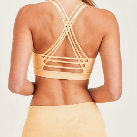 Hannah Paradise Champagne Colored Bra Top